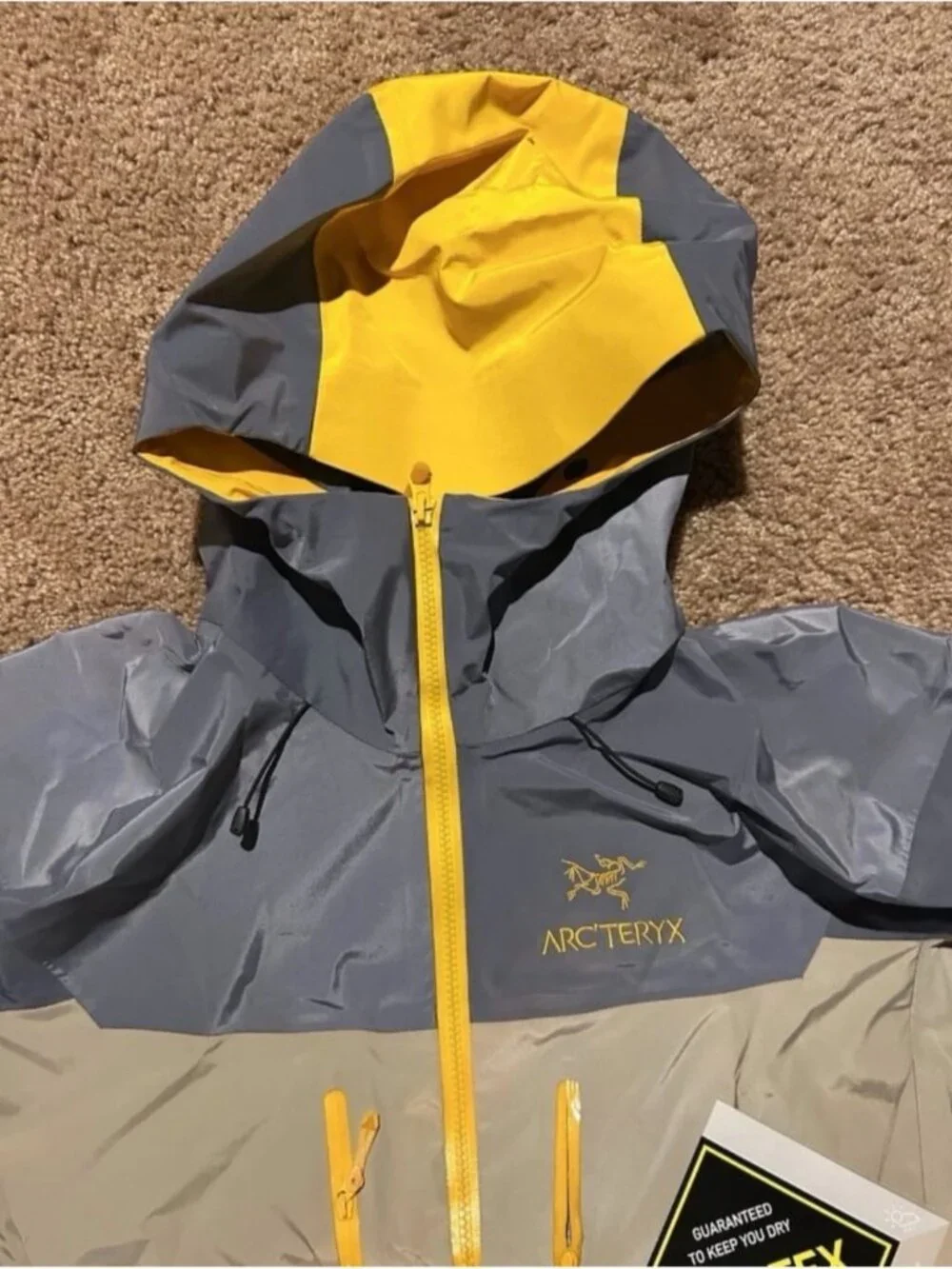 Arc'teryx LIMITED Year of the Snake Windbreaker Jacket L